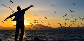 Un grand vent de liberté