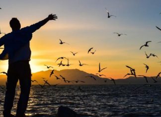 Accrochez vos ceintures… le voyage sera mouvementé mais en vaut la chandelle