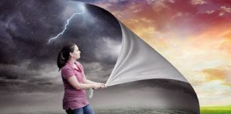 Le Créateur – Offrir la Beauté