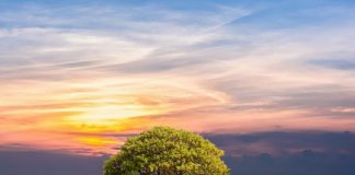 Une saison d’espoir nouveau