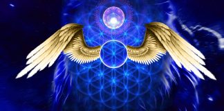 L’avenir de la Terre et votre rôle