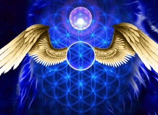 L’avenir de la Terre et votre rôle