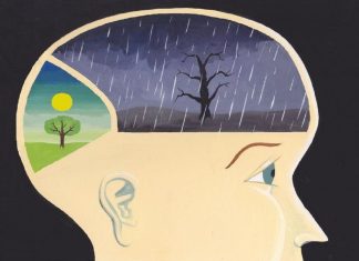 Le Conseil – La négativité que vous voyez