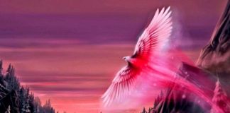 ÊTRE dans le Moment Présent, Maintenant