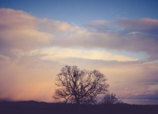 Le Créateur – Un État Réfléchi et Pacifique