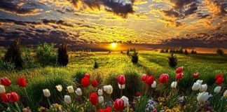 Message aux Travailleurs de Lumière – 24 juillet 2020