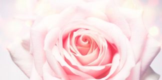 Énergies de Septembre 2018