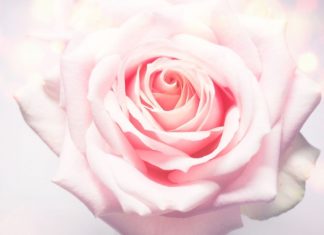 Énergies de Septembre 2018