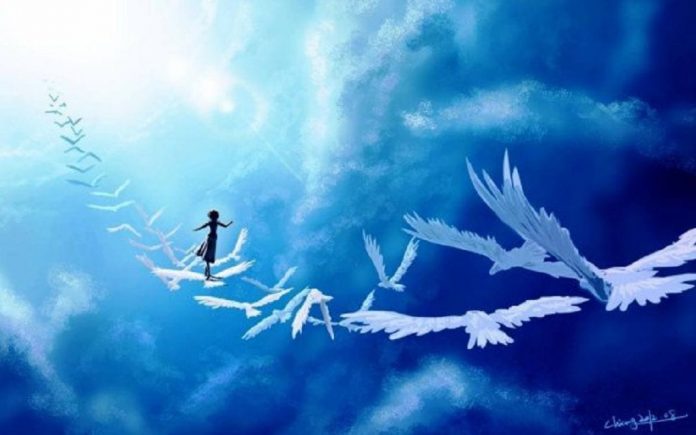 vol oiseau vers lumiere