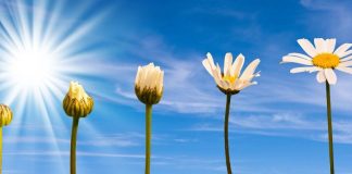 Se Propulser Pour Créer à Nouveau