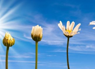 Se Propulser Pour Créer à Nouveau