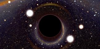 Le Conseil – En réponse à quelques questions #6