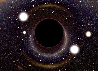 Le Conseil – En réponse à quelques questions #6