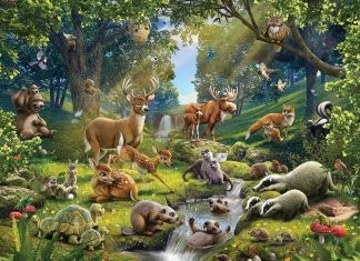 Les animaux de la forêt réclament l’harmonie