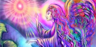 Effacement de vos empreintes