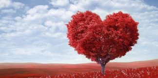 L’importance de l’énergie du Cœur de Lumière