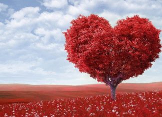 Les Vacances du Coeur