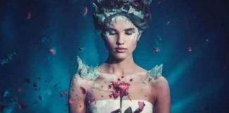 La Création de Votre Vérité