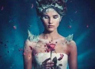 Vous Êtes Tellement Aimé !