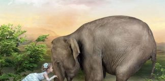 Le Créateur – La Douceur est Force