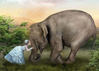 Le Créateur – La Douceur est Force