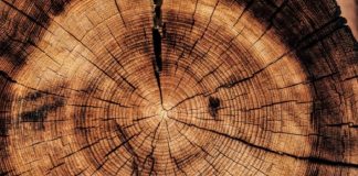 Mouvement et immobilité