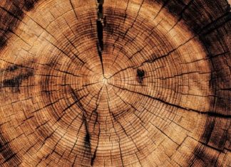 Mouvement et immobilité