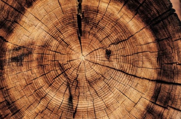 Mouvement et immobilité