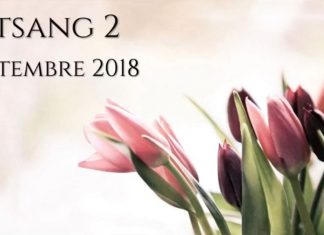 Entretiens de Septembre 2018 – Satsang 2
