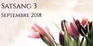 Entretiens de Septembre 2018 – Satsang 3