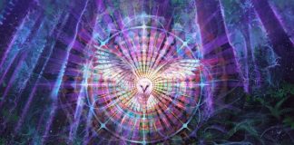 Cette Année À Venir Verra Beaucoup De Révélations