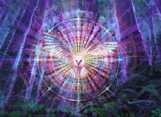 Cette Année À Venir Verra Beaucoup De Révélations