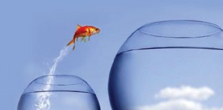 La Qualité d’Amour Connue sous le Nom de «Vision»