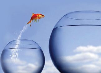 La Qualité d’Amour Connue sous le Nom de «Vision»