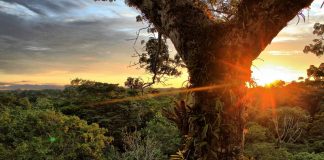 Les civilisations stellaires libres 10