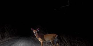 Le Créateur – Figés….