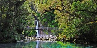 Les civilisations stellaires libres 11