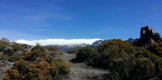 L’épuration massive des polluants