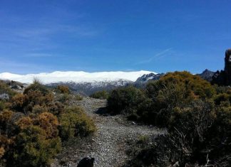 L’épuration massive des polluants