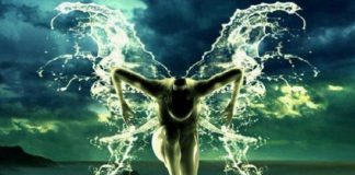 Le Créateur – Métamorphose