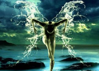 Le Créateur – Métamorphose