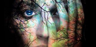 Le Conseil – L’illusion de la séparation