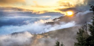 Le Coeur de Lumière et la Gratitude