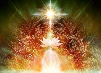 Quan Yin : Les résultats de votre travail de lumière sont magnifiques !