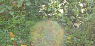 Archange Gabriel : Lâchez les distractions terrestres