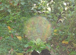 Archange Gabriel : Lâchez les distractions terrestres