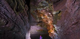 Le voyage vers le monde intérieur – Le voyage 7