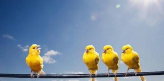 Le Créateur – Être Entendu