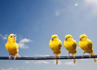 Le Créateur – Être Entendu