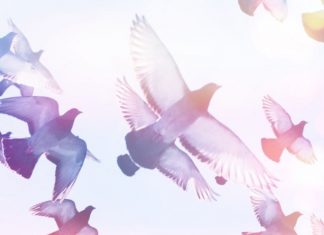 Énergies d’Octobre 2018